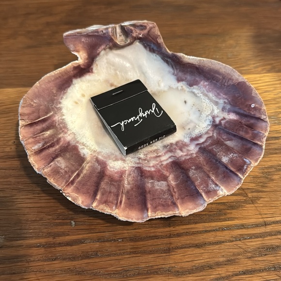 Sea Shell - Picture 2 of 4